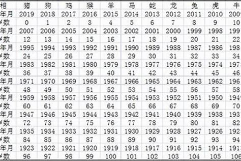 屬猴子|屬猴出生年份/幾多歲？屬猴性格特徵+生肖配對+2024。